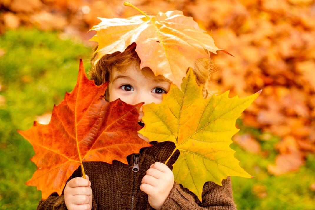 A little boy covered in leaves.